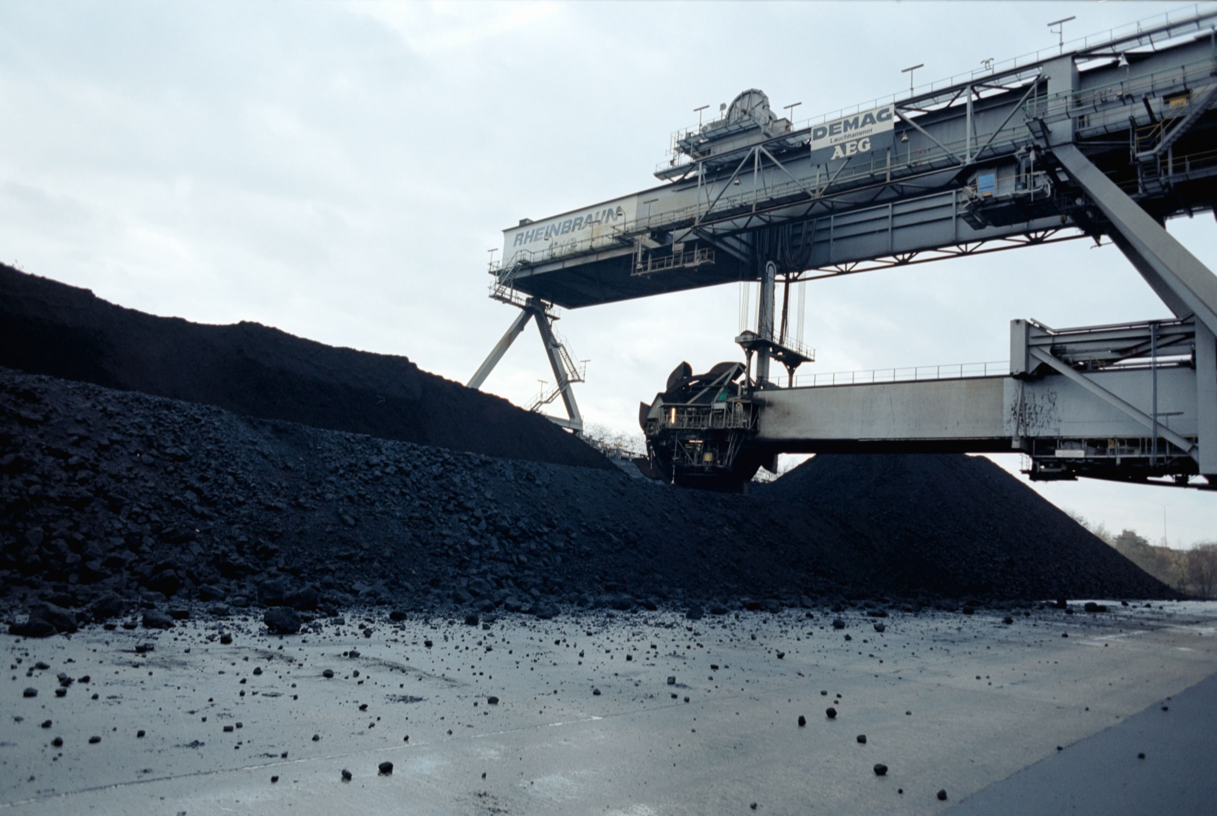 AHP film 2004 11 001 sc240828 img18 NLP